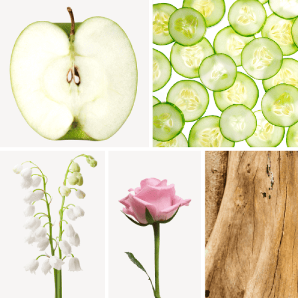 Duftnoten: Apfel, Gurke, Maiglöckchen, Rose, Sandelholz